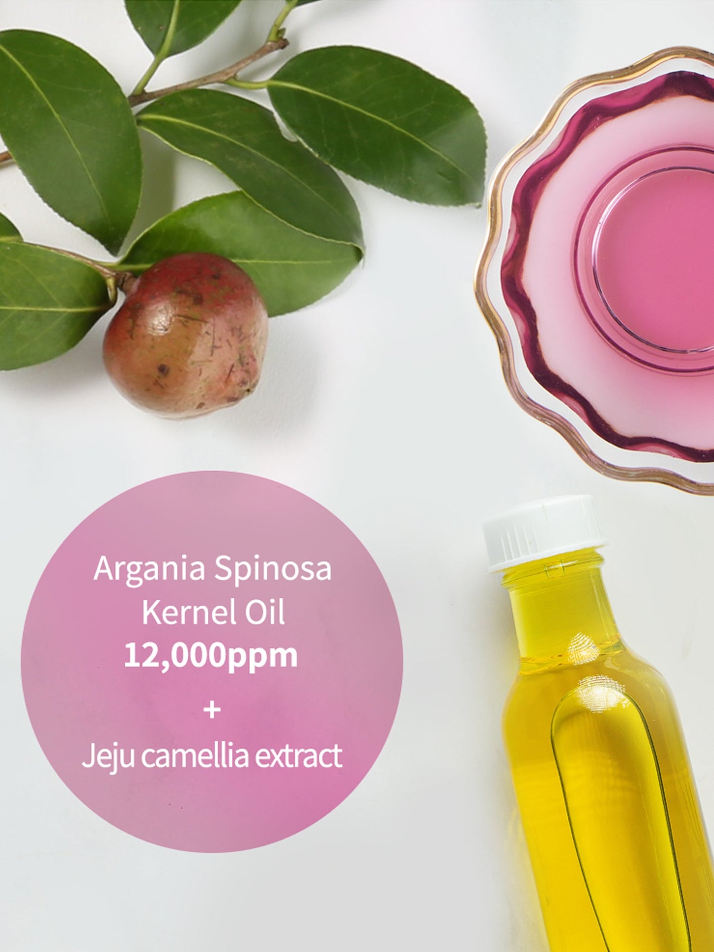 JEJUINDI Camellia Conditioner Bar