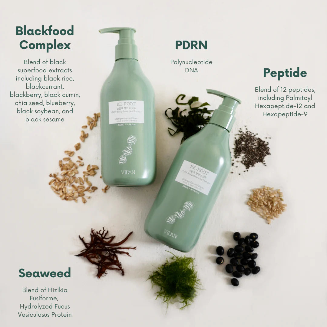 VIDAN - RE:ROOT PDRN Scalp Balancing Shampoo