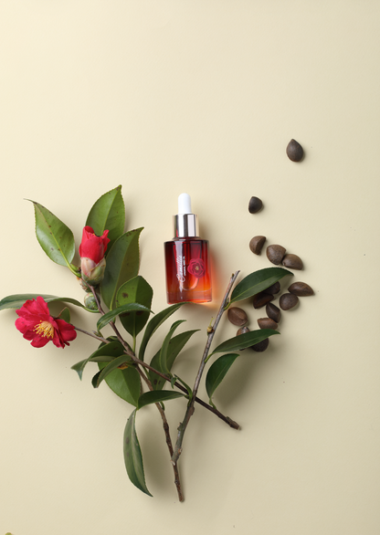 JEJUINDI Camellia Original Seed Oil